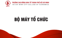Mẫu thông báo